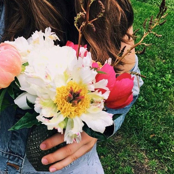 peonies, vase, bouquet, flowers
